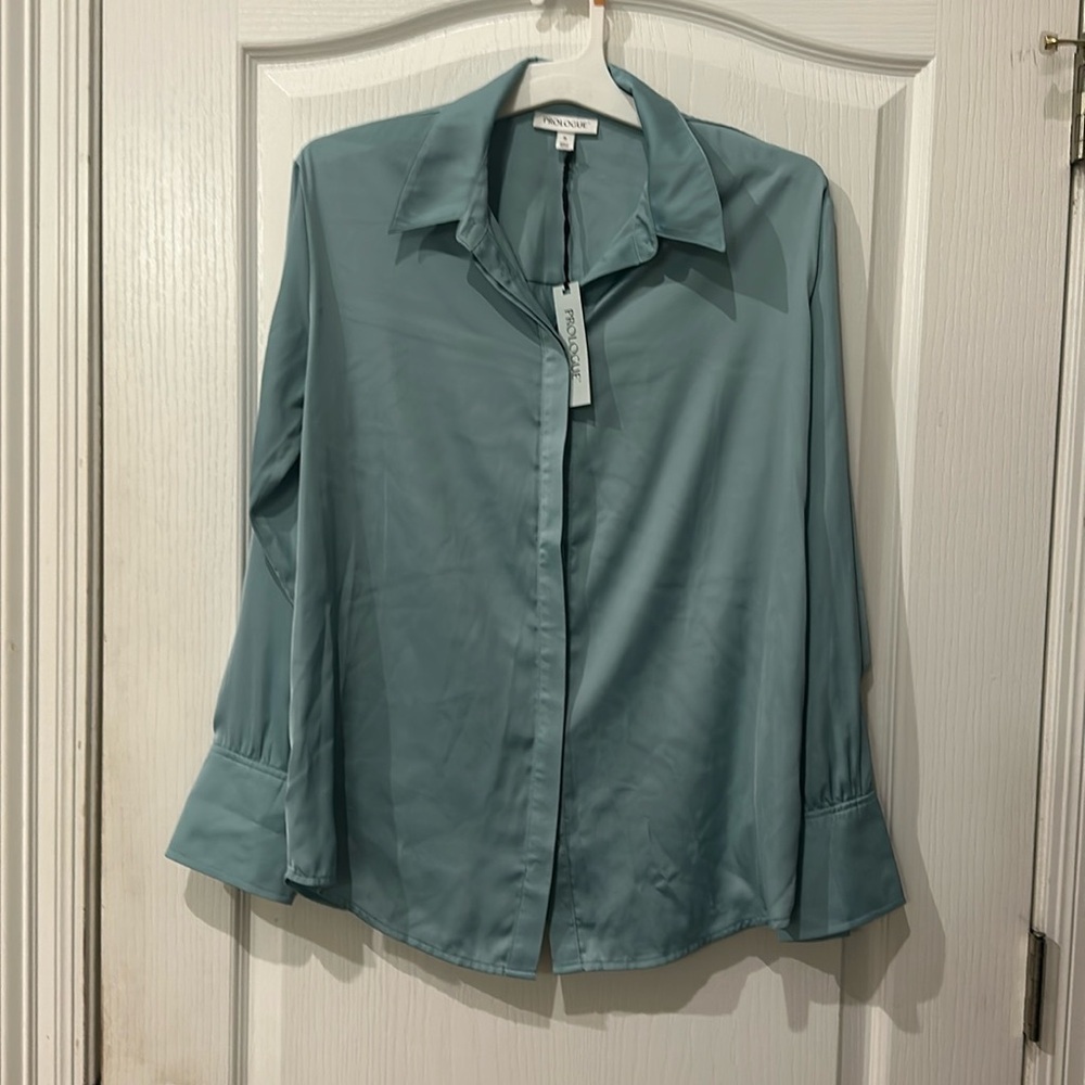 Prologue sz S sea blue light aqua Matte silk look long sleeve button down NWT